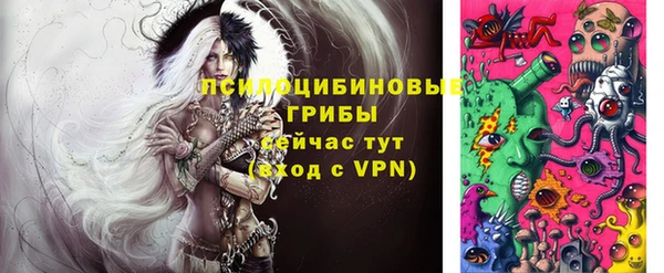 сатива Абаза