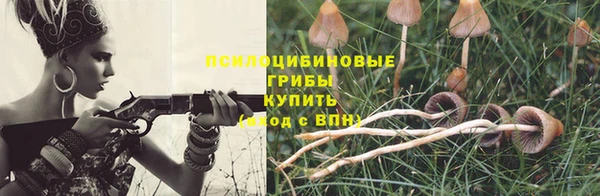 СК Алзамай