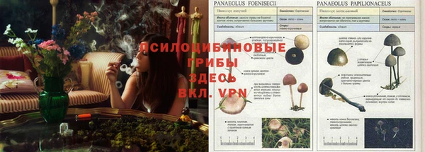 mdpv Абдулино