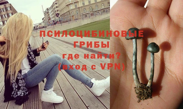 гидропоника Алексин